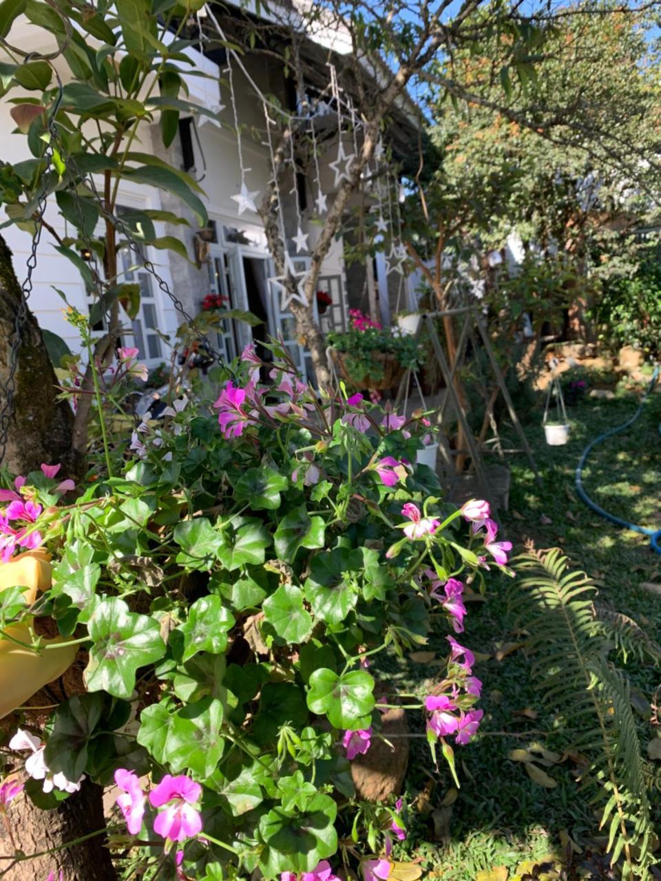 De Daisy Villa Homestay Да Лат Екстериор снимка