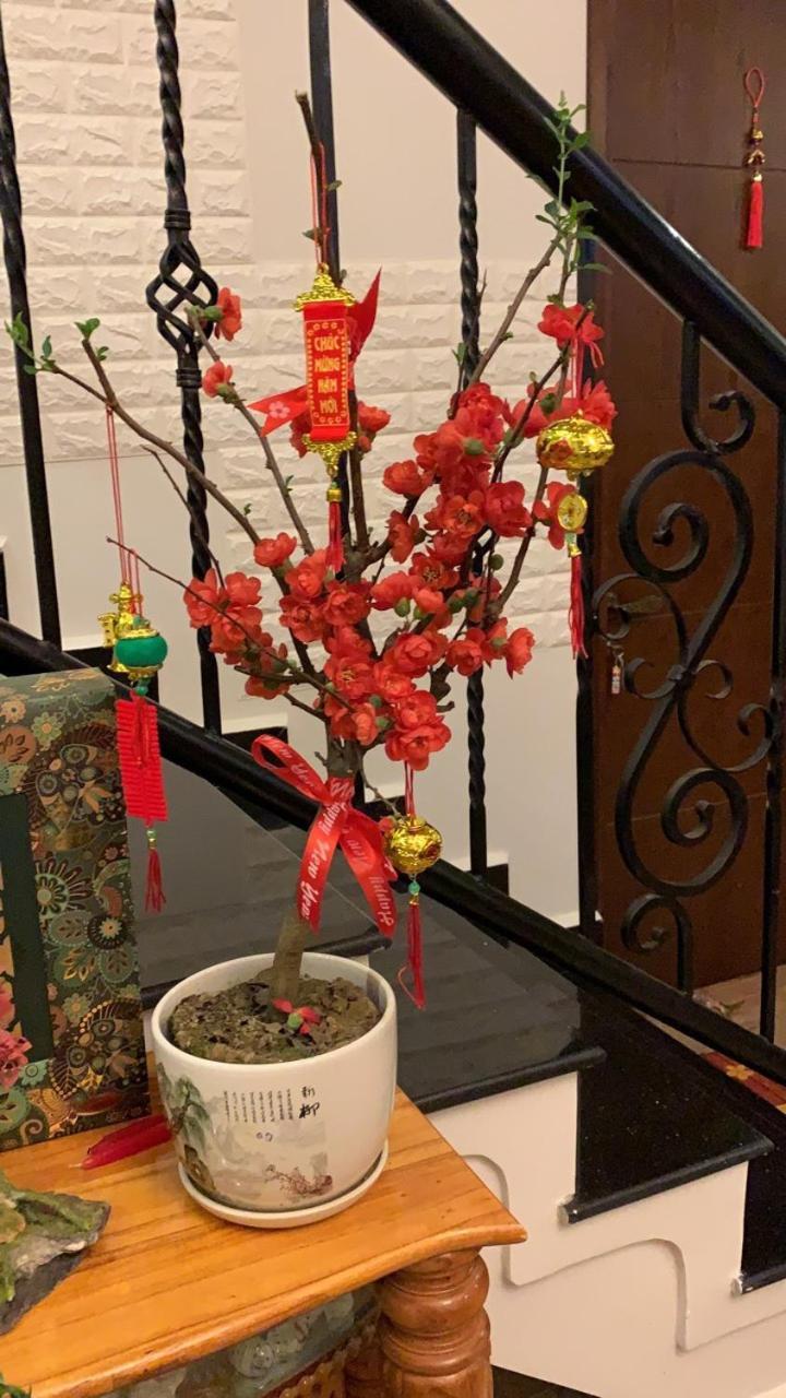 De Daisy Villa Homestay Да Лат Екстериор снимка