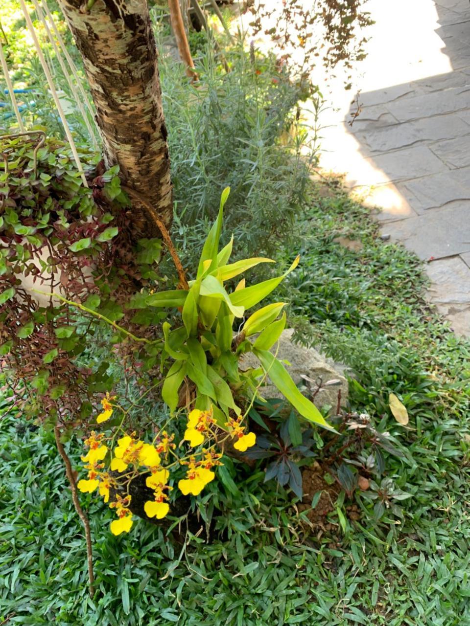 De Daisy Villa Homestay Да Лат Екстериор снимка